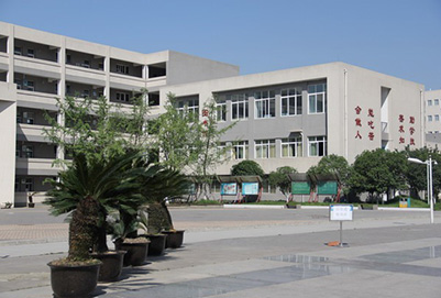 学校近景观绿植