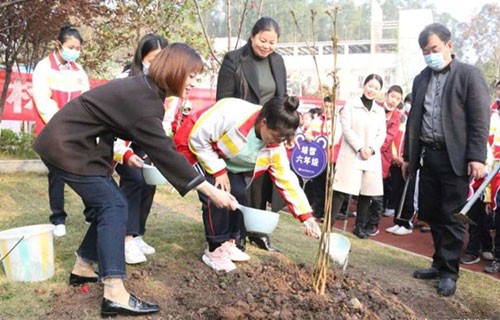 植树活动