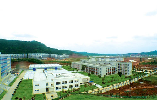 鸟瞰学校全景