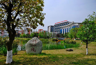 校园美景