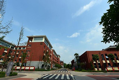 学校新道