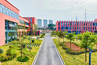 学校道路