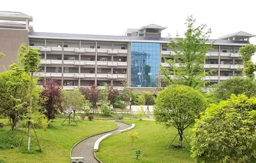 学校绿化