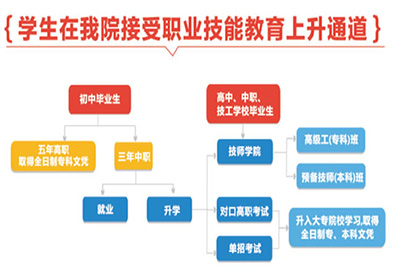 学校升学渠道