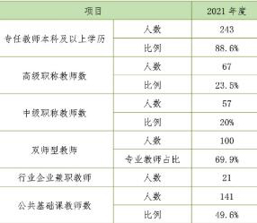 学校师资细分比例