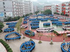 四川省古蔺县职业高级中学校是公办还是民办