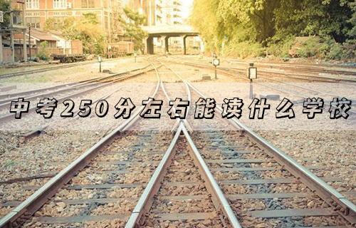 2024年金华中考250分左右读什么学校好
