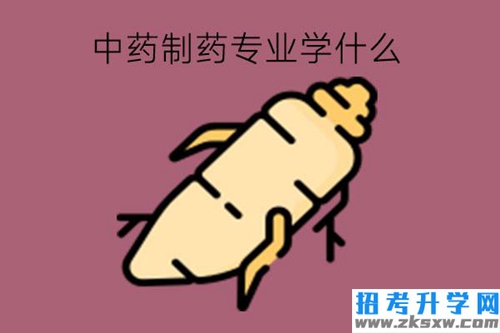 中药制药专业学什么?有何对口工作?