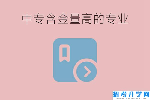 中专有哪些含金量高的专业？工资高不高？