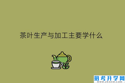 茶叶生产与加工主要学什么?毕业能干什么?