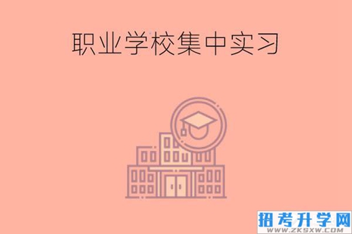 职业学校的集中实习好吗?可以不去吗?