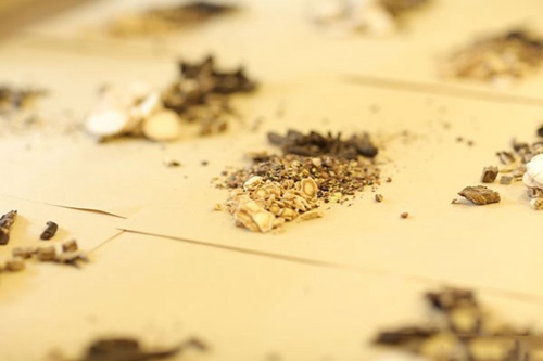 中药制药专业有哪些课程？要具有哪些专业能力？