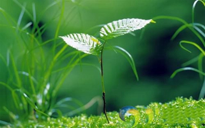 西安好的中职推荐！西安生物医药技术职业学校怎么样？