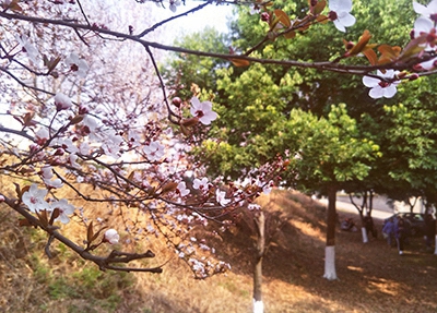 读技校学校好不好？安徽芜湖技师学院怎么样？