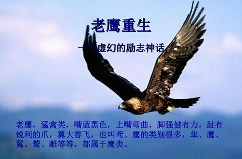 铜仁2023年开设酒店管理专业的中专学校有哪些