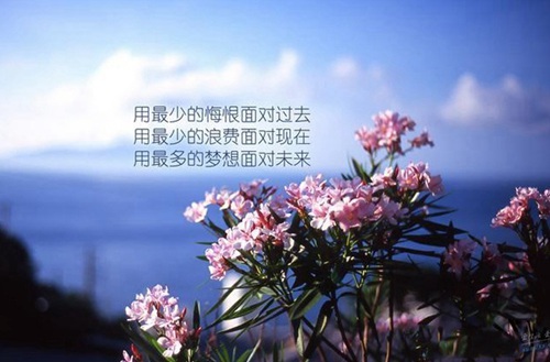 2023滨州公办职教中心有哪些  滨州公办职教中心名单一览表