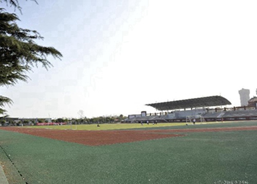 2023洛阳职业中学有哪些 洛阳职业中学名单一览表
