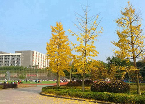 2023益阳民办职业中学有哪些 益阳民办职业中学名单一览表