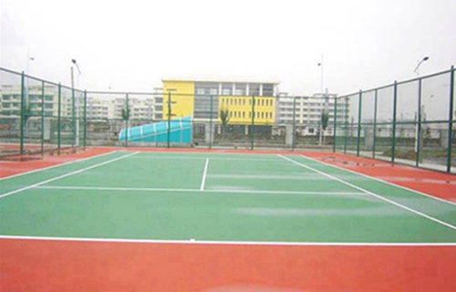 石家庄2023年有哪所学校有医学影像专业