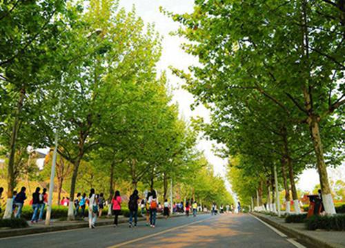 杭州2023年园林技术专业哪个职业学校好
